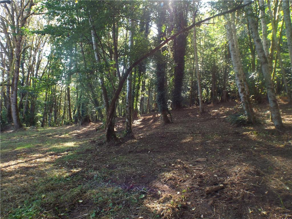 0 Birley Rd - Photo 1