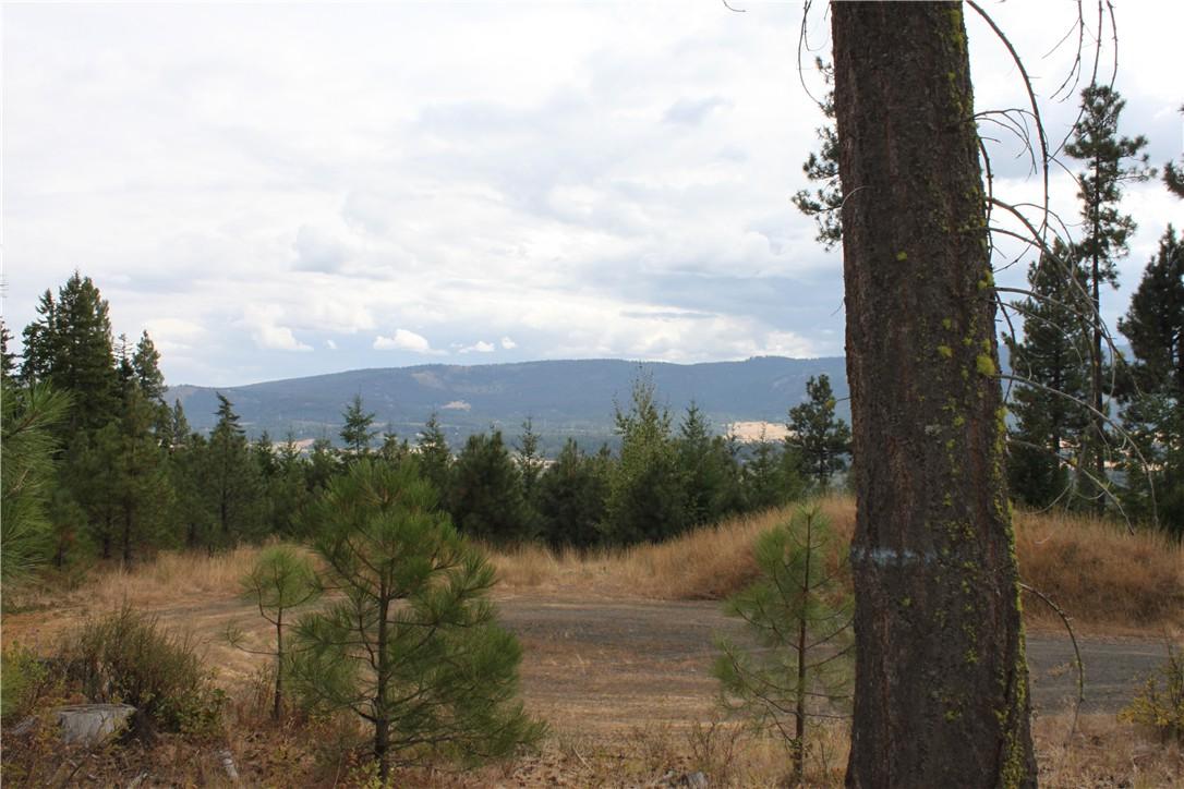7 Game Trail Rd - Photo 1