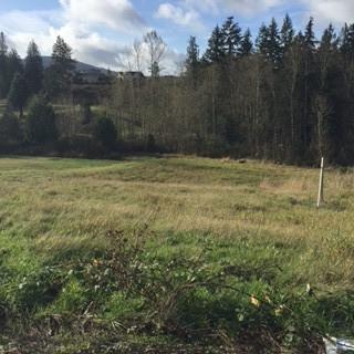 24018 Dolphin Lane - Photo 1