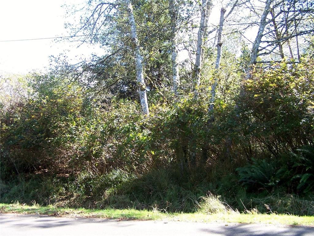 801 Mt Olympus Ave - Photo 1