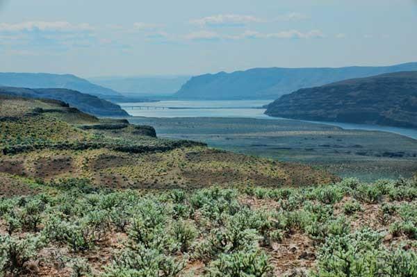 0 Silica Rd - Photo 1