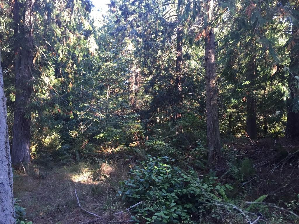 0 Jacob Miller Rd - Photo 1