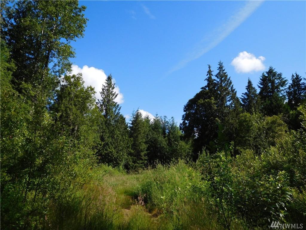 0 Sommerville - Photo 1