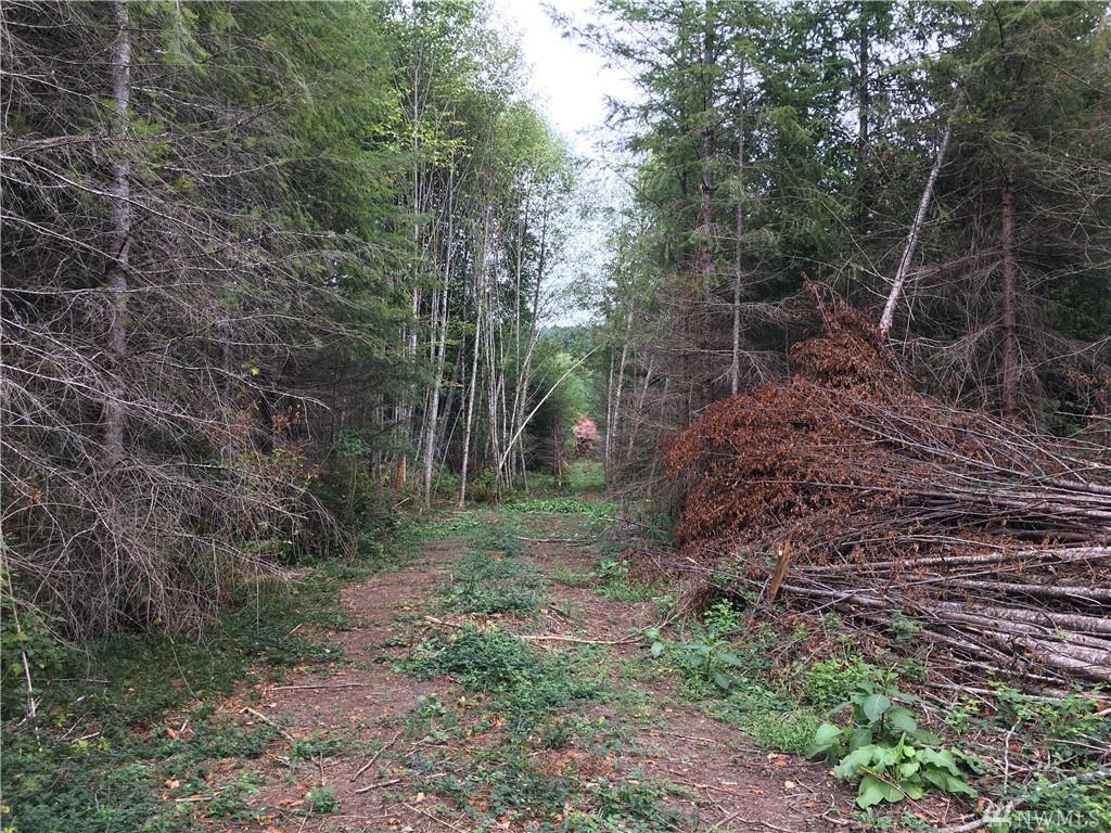 0 Yale Bridge Rd - Photo 1