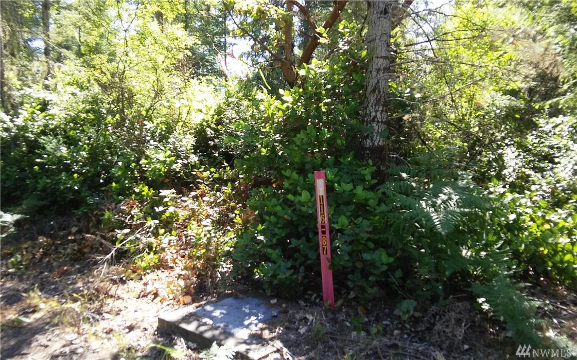 0-8.25 ac Thomas Rd - Photo 1