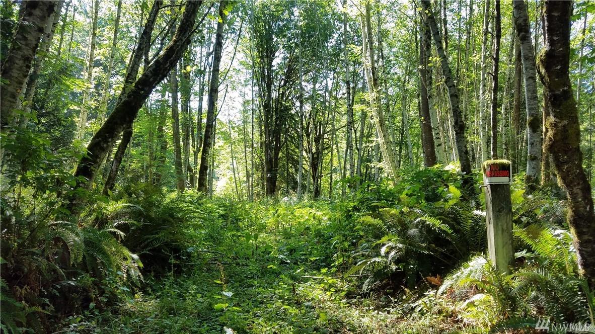 0 Pleasant Forest Rd - Photo 1