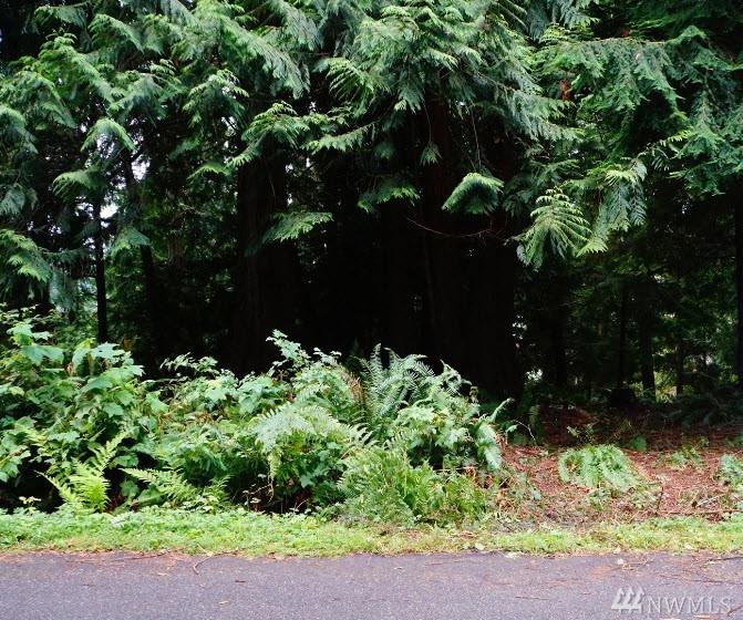 20113 330th Ave - Photo 1