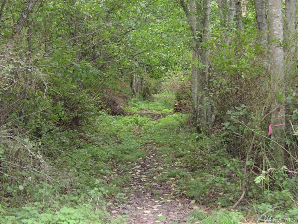 0-LOT 1-2 Seacrest Lane - Photo 1 0-LOT 1-2 Seacrest Lane - Photo 1