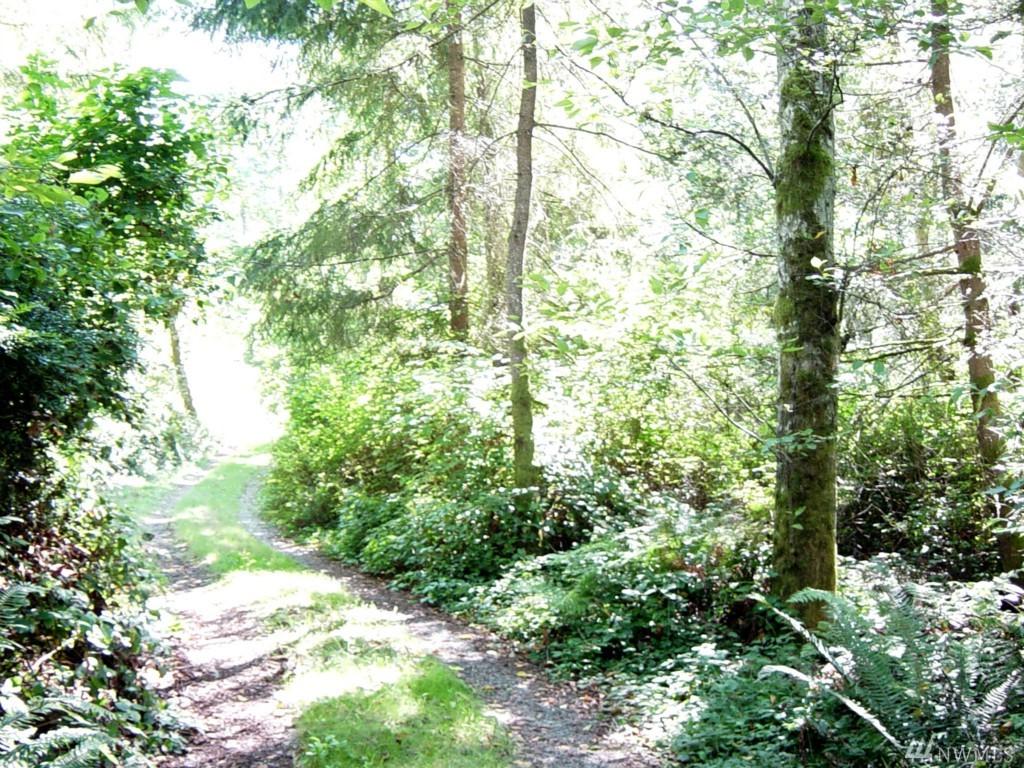 285-xx 143rd Ave - Photo 1