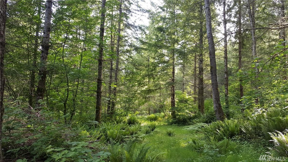 306-XX 290Th Ave Se (Lot B) - Photo 1