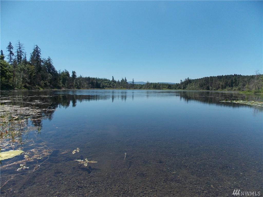 39601 Tanwax Rd - Photo 1