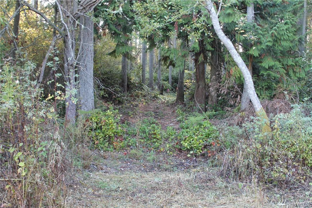 0 Cliff St - Photo 1