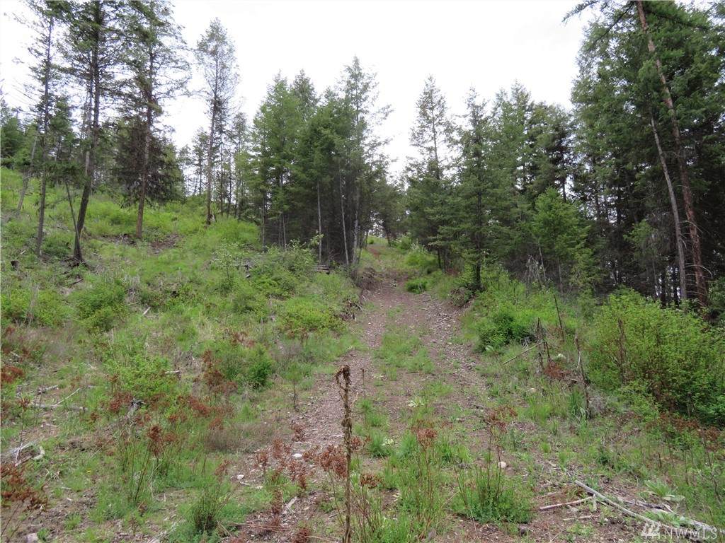 0-TBD Lambert Creek Rd - Photo 1 0-TBD Lambert Creek Rd - Photo 1