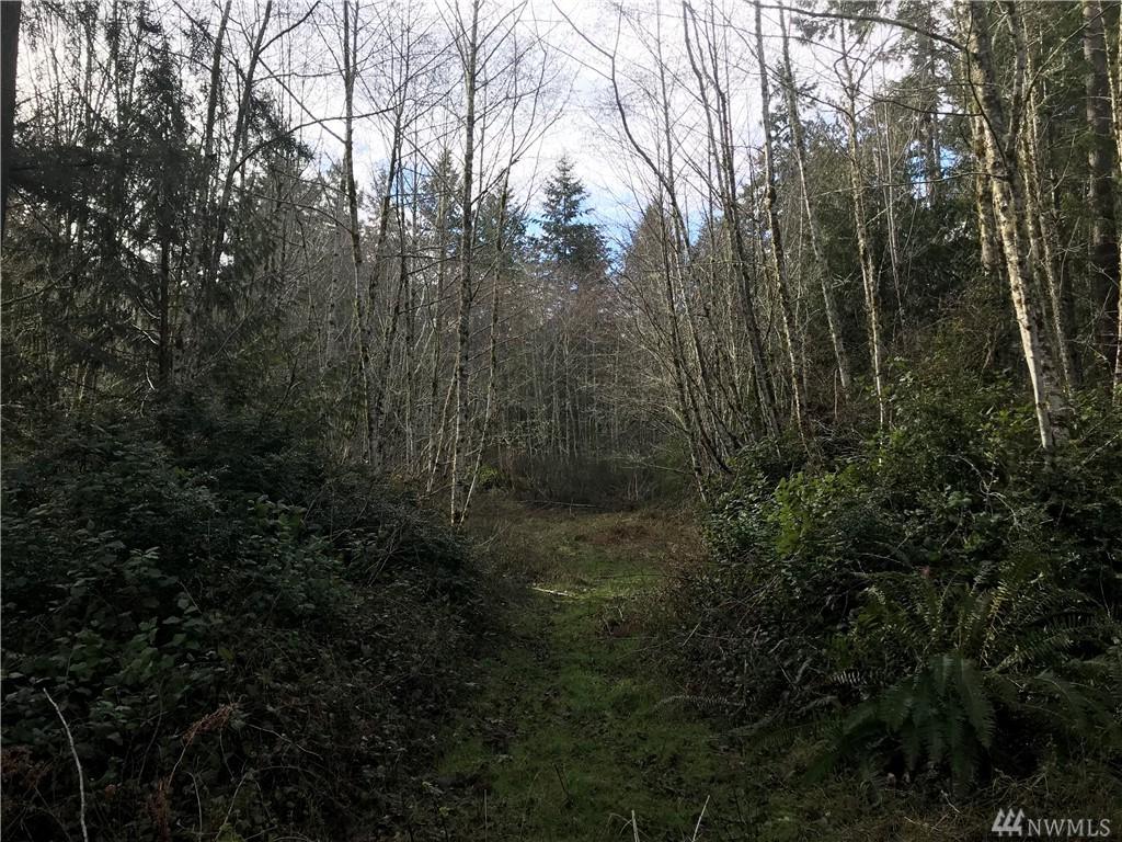 8416 128th Av Ct - Photo 1