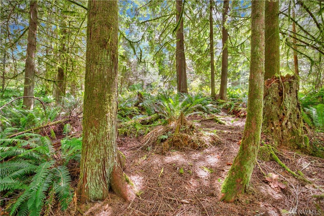 7160 Fletcher Bay Rd - Photo 1