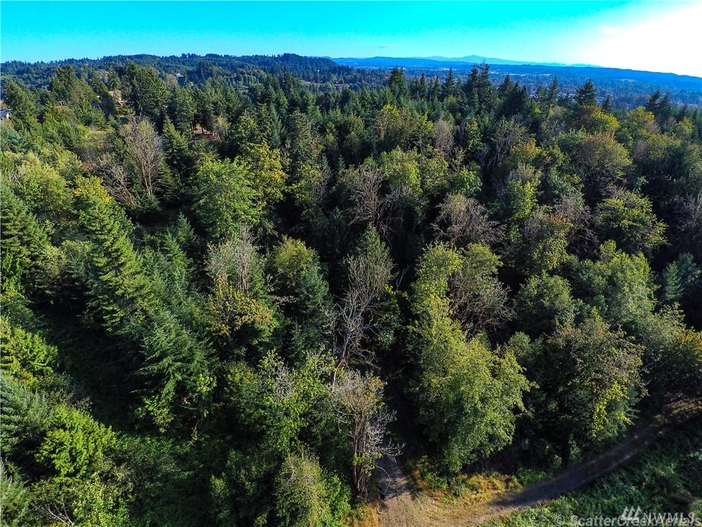 0 Daniels Rd - Photo 1