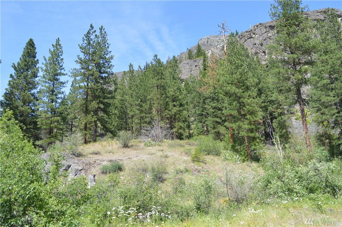 18525 Highway 20 - Photo 1