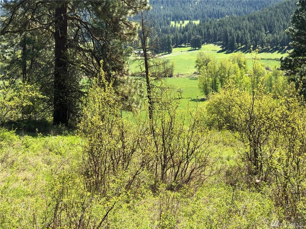 0-XXX Fir Tree Dr - Photo 1