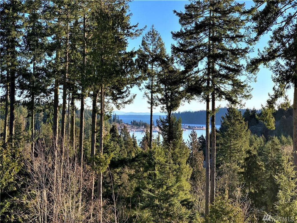 134 Timber Meadow Dr - Photo 1