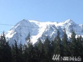 30406 412th Dr - Photo 1