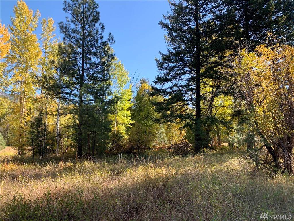 18255 Highway 20 - Photo 1