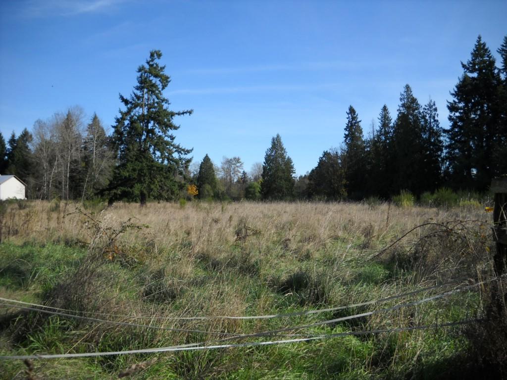 14511 Canyon Rd - Photo 1