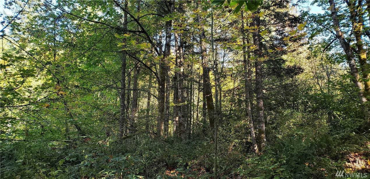 0-XXX 70th Ave - Photo 1