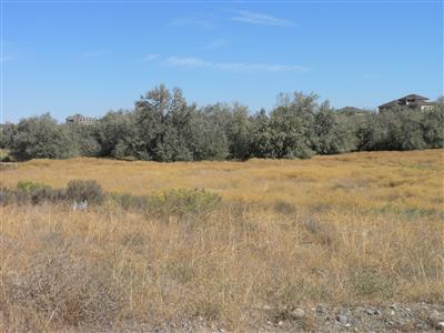 7664 Dune Lake Rd - Photo 1