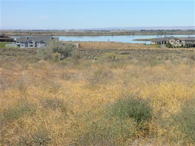 7842 Dune Lake Rd - Photo 1