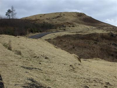 0-Lot 11 Alger Creek Heights - Photo 1