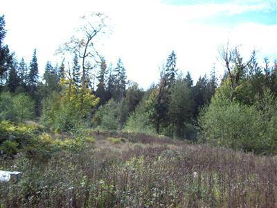 206 Rice Park Rd - Photo 1