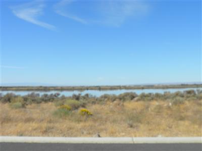 7509 Dune Lake Rd - Photo 1