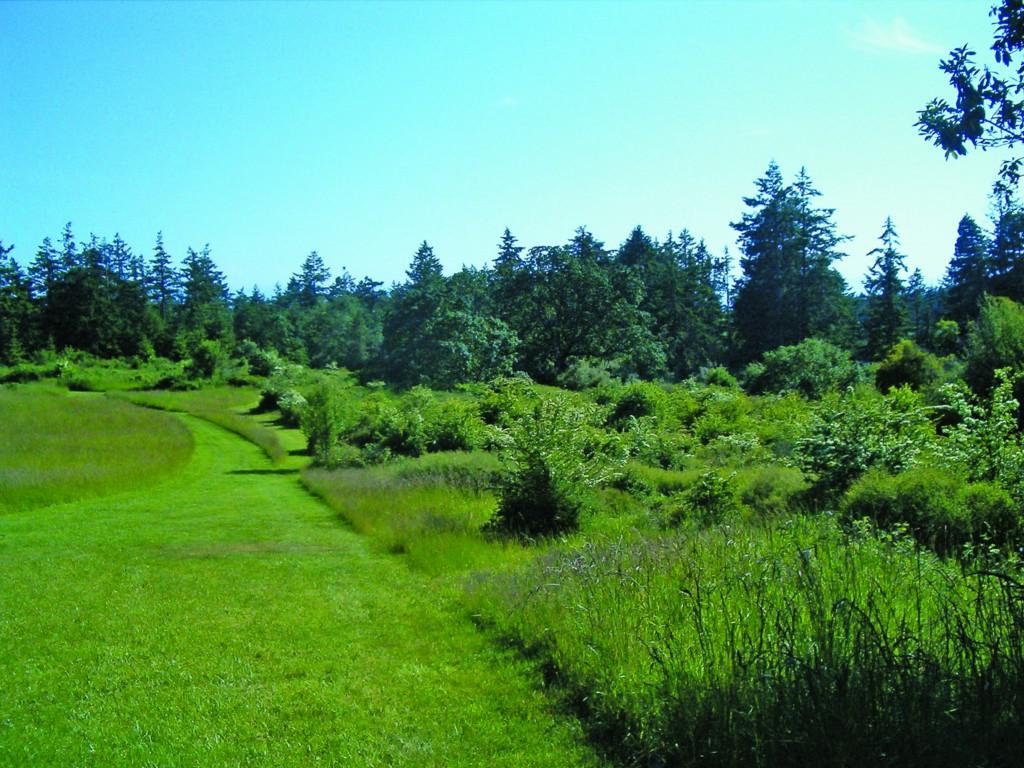 0 Moonlight Dr - Photo 1