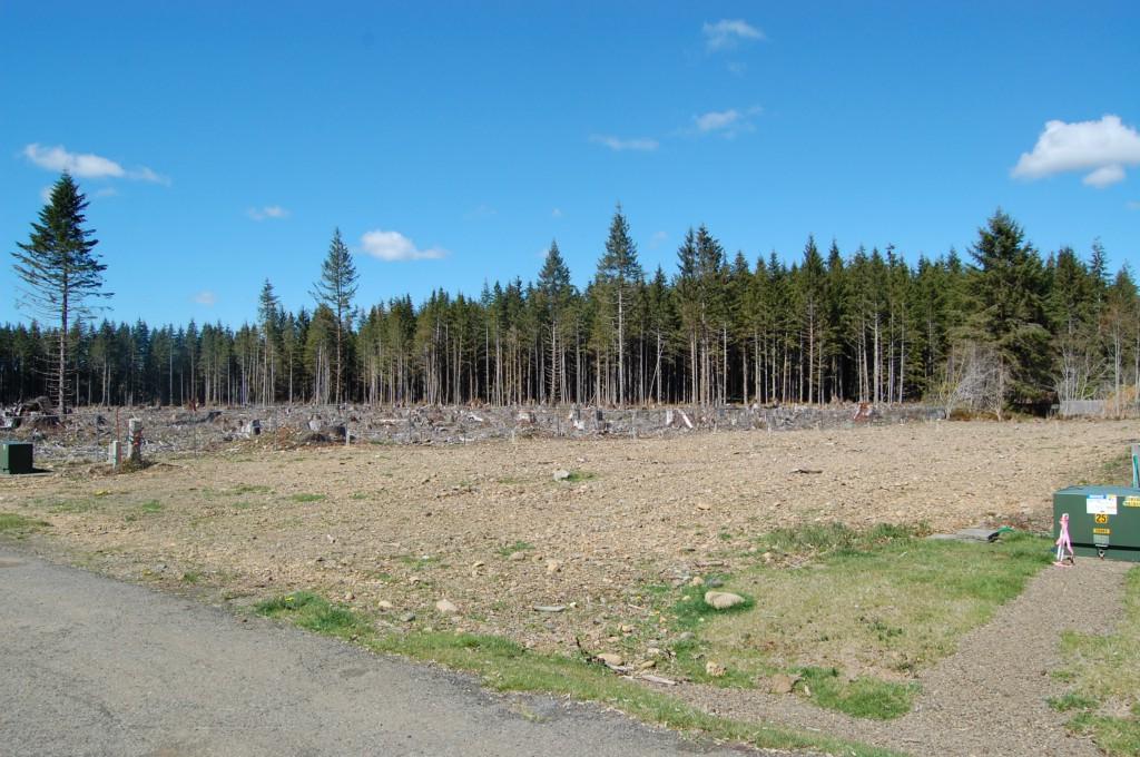 9999-Lot 38 King Johns Wy - Photo 1