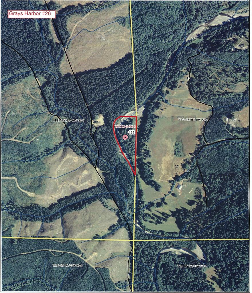 0-X Middle Fork Satsop - Photo 1