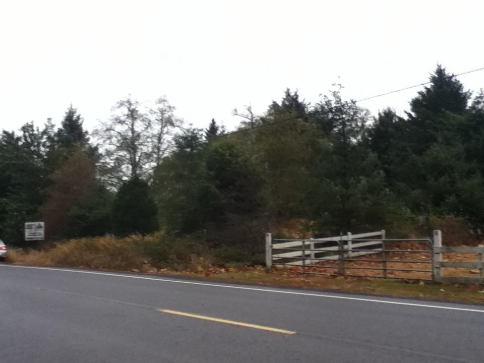 12202 Sandridge Rd - Photo 1