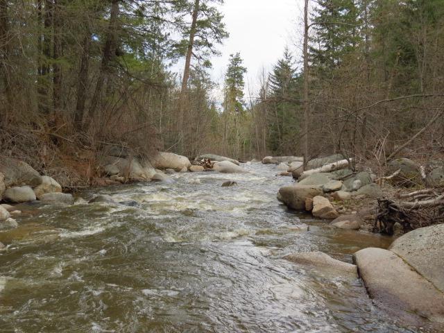0 Toats Coulee Rd - Photo 1