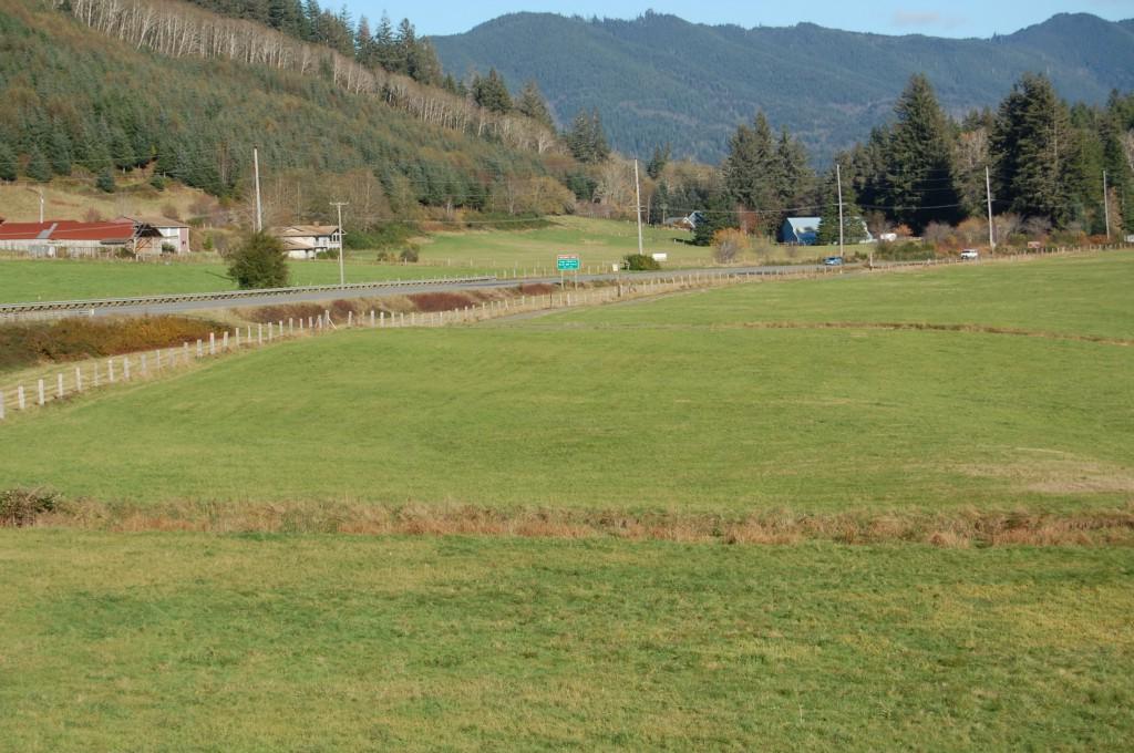 9999-Lot 21 Hwy 101 - Photo 1