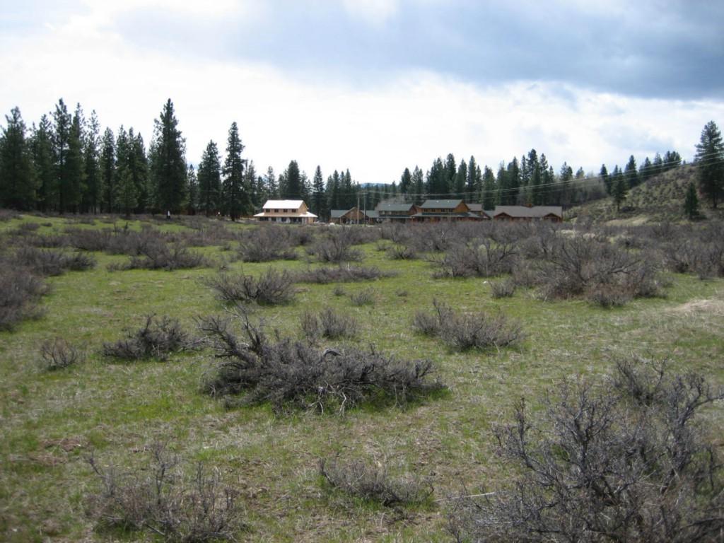 1111 Hwy 20 - Photo 1