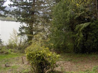 0-Lot 10 Next To 660 Columbia St - Photo 1