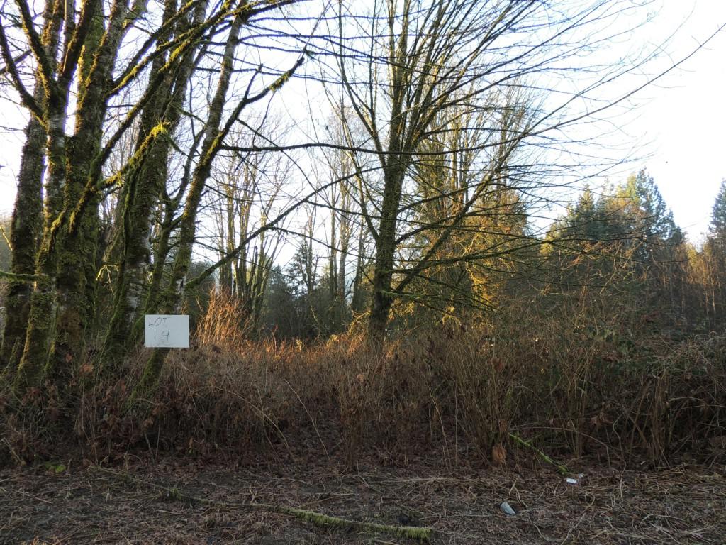 0-lot 19 Cape Horn Dr - Photo 1