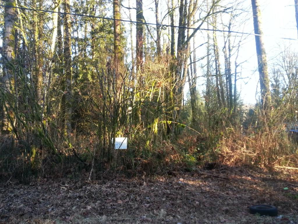0-lot 23 South Shore - Photo 1