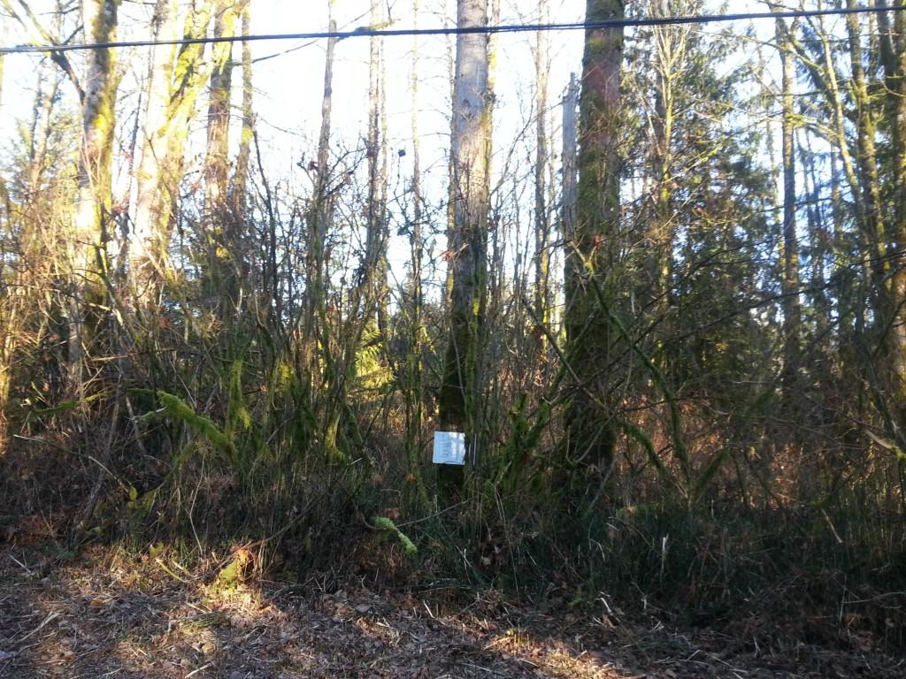 0-lot 24 South Shore Lane - Photo 1