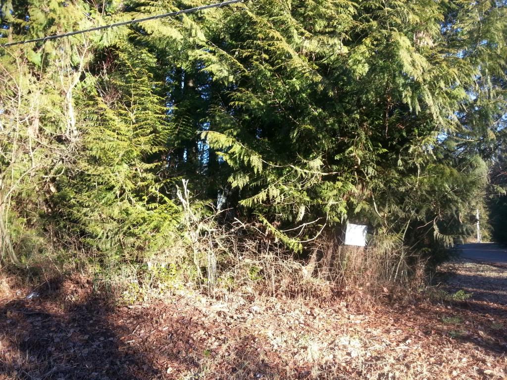 0-lot 46 South Shore Dr - Photo 1