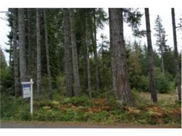 581 Phillips Lake Loop Rd - Photo 1