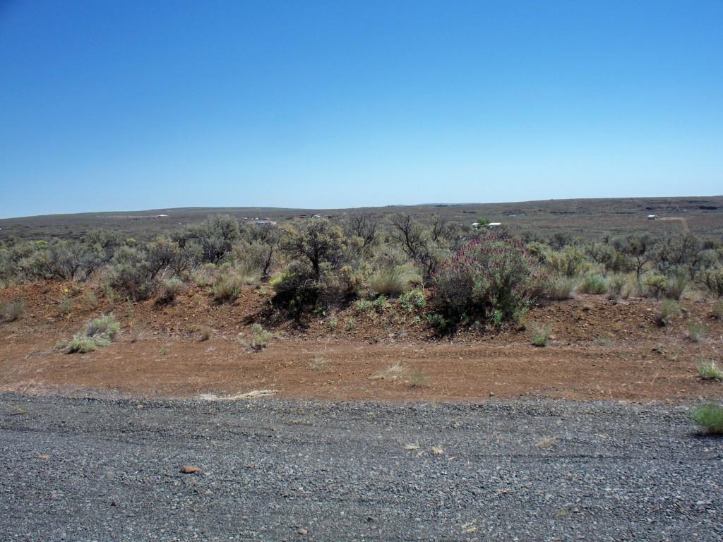0 Coloma Place - Photo 1