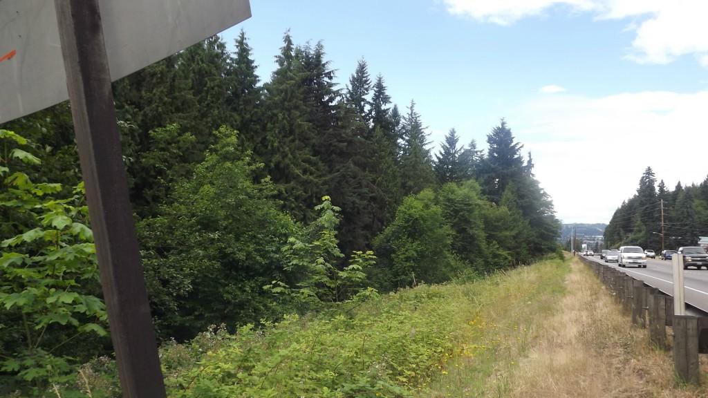 0-XXXX Highway 410 - Photo 1