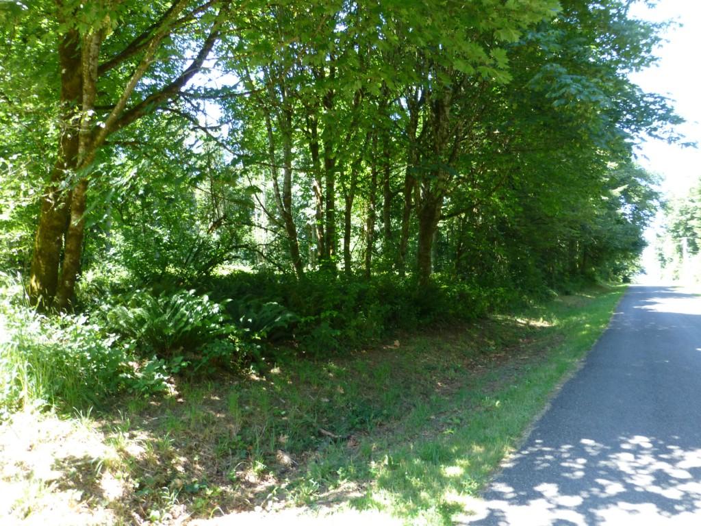 4745 Meridian Rd - Photo 1