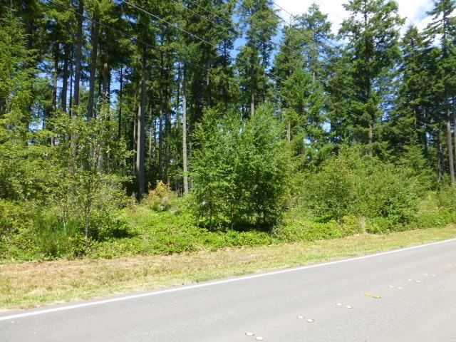4632 Twisted Tree Lane - Photo 1