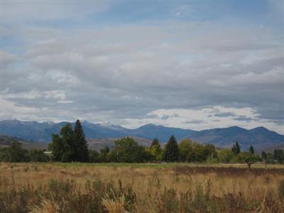 0-Lot 2 Bluesky Place - Photo 1
